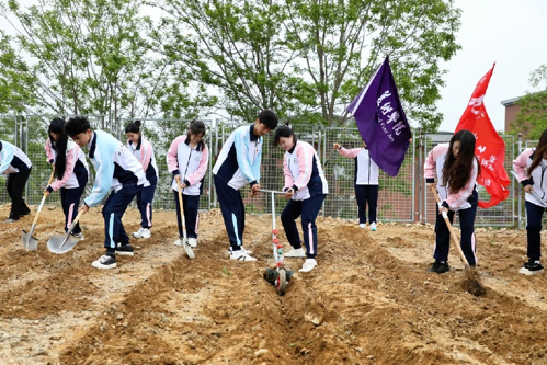 1748332246336927.png 1747551570903131.png